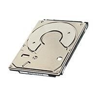 Disque dur interne MK3261GSYN 2.5- - 320 Go