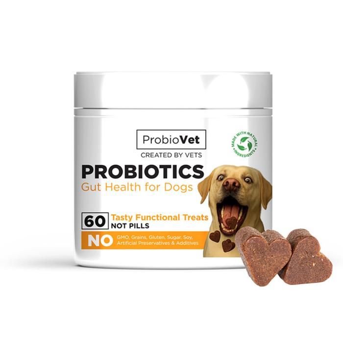 Meilleurs prix pour Complément Alimentaire pour Chien - ProbioVet - Probiotique - Santé intestinale - 60 Bouchées Naturelles
