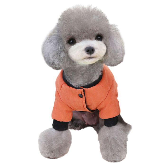 Meilleurs prix pour Manteau dhiver chaud pour chien vêtement pour petit chien chihuahua (rouge)