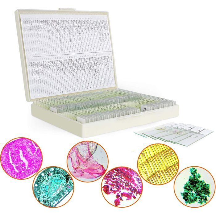 Kit 25 Lames De Microscope Préparées Bysameyee - Spécimens Plantes, Insectes & Animaux Pour Enfants & Étudiants