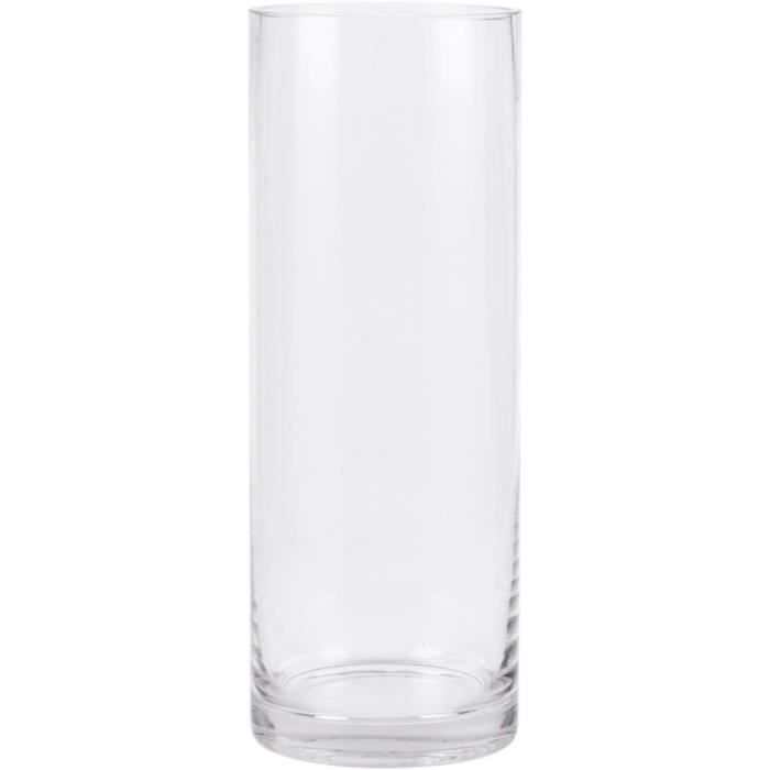 Vase En Verre Transparent 20cm - Déco Table | Fleurs Séchées, Pampa, Roses | Style Minimaliste