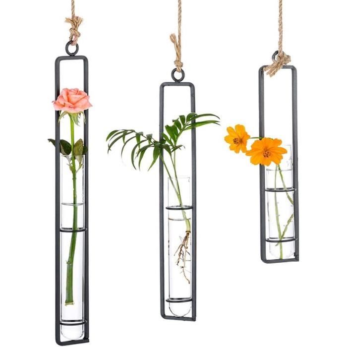 Vase Tube à Essai Hydroponique Avec Support Bois - 5 Éprouvettes Verre Pour Plantes Décoration