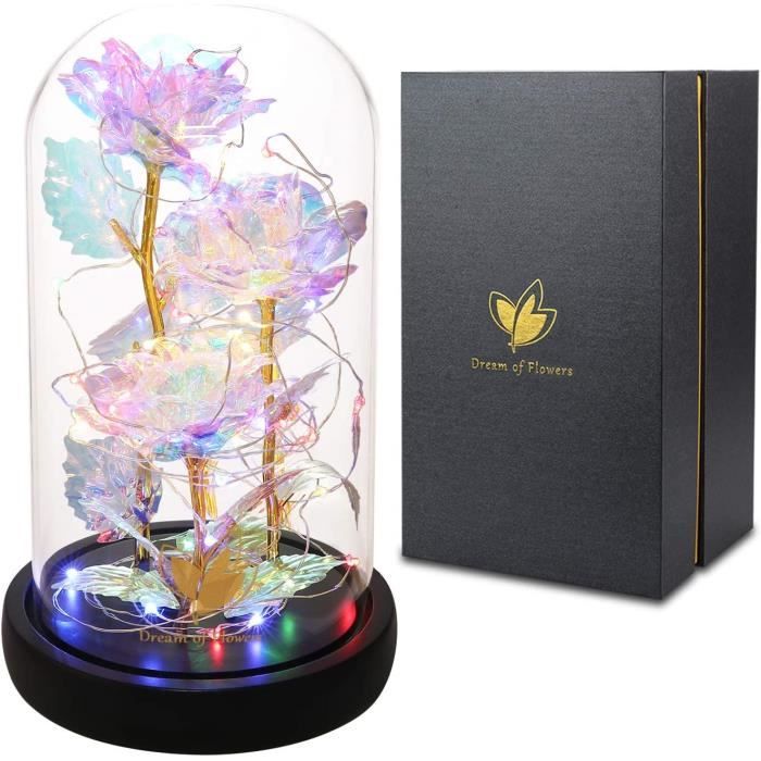 Qoolife Rose Éternelle La Belle Et La Bête Dans Un Verre Avec Lumières LED - Socle Bois Élégant, Cadeau Romantique Saint-Valentin, Noël Ou Anniversaire Pour Elle