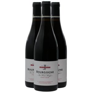VIN ROUGE Bourgogne Les Terres Rouges Pinot Noir - Rouge 202