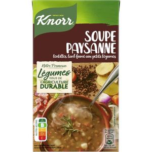 BRIQUE FAMILIALE LOT DE 2 - KNORR - Soupe Paysanne Lentilles et lard fumé - brique de 1 L