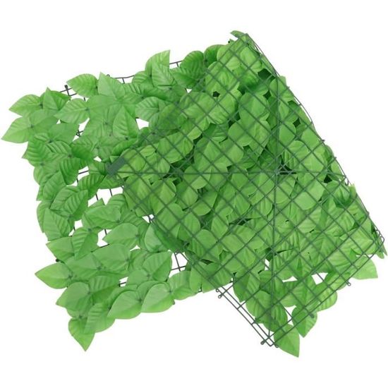 Fausse Cloture Vegetale