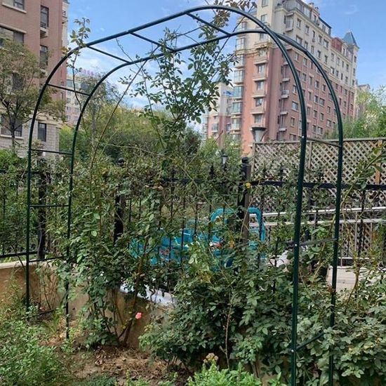 Arche De Jardin En Métal Noir - 100 Cm Large, 220 Cm Haut - Pour Plantes Grimpantes (roses, Vignes) - Pergola Extérieure Résistante - 7
