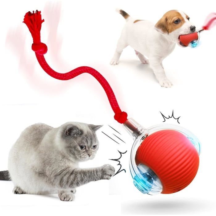 Meilleurs prix pour Générique Balle Interactive à Rouler pour Chien Balle à Rouler pour Chat Et Chien Activée par Le Mouvement (Rouge)