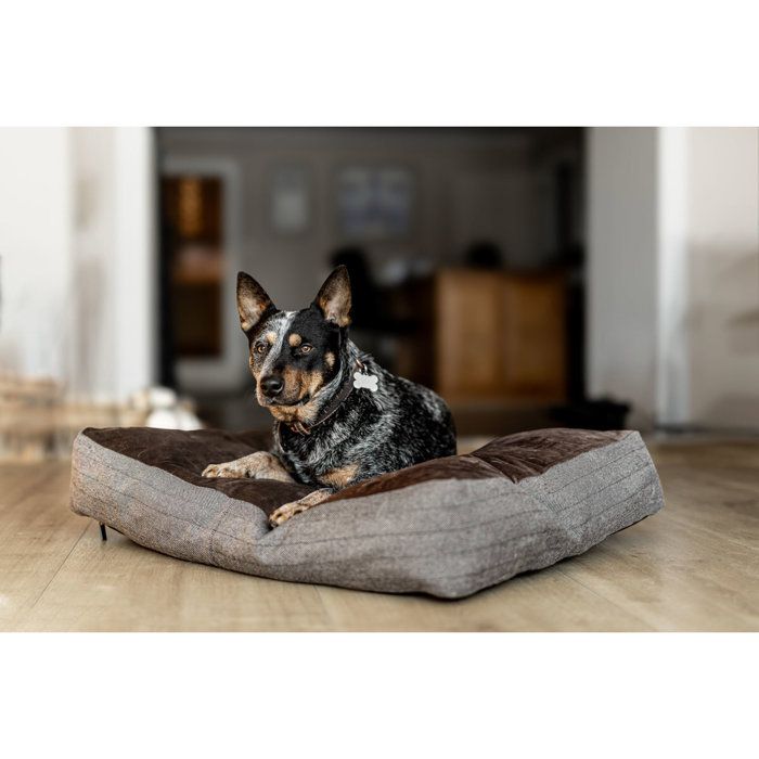 Coussin pour chien rectangulaire HFI - brun/noir - Marron - 55x75 cm