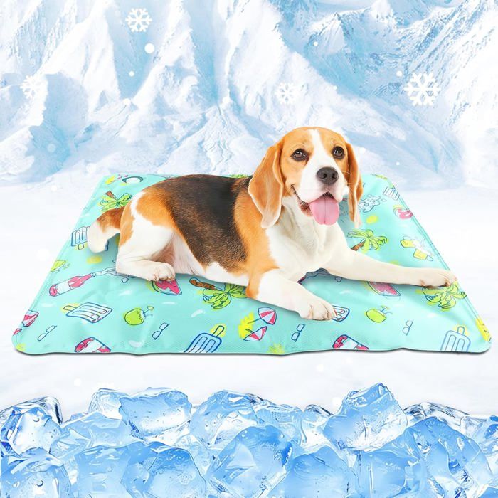 Tapis Rafraîchissant pour Chien et Chat 30x40CM Tapis Rafraichissant Chien Tapis Fraicheur Chien Auto-Refroidissant Non Toxique Pet