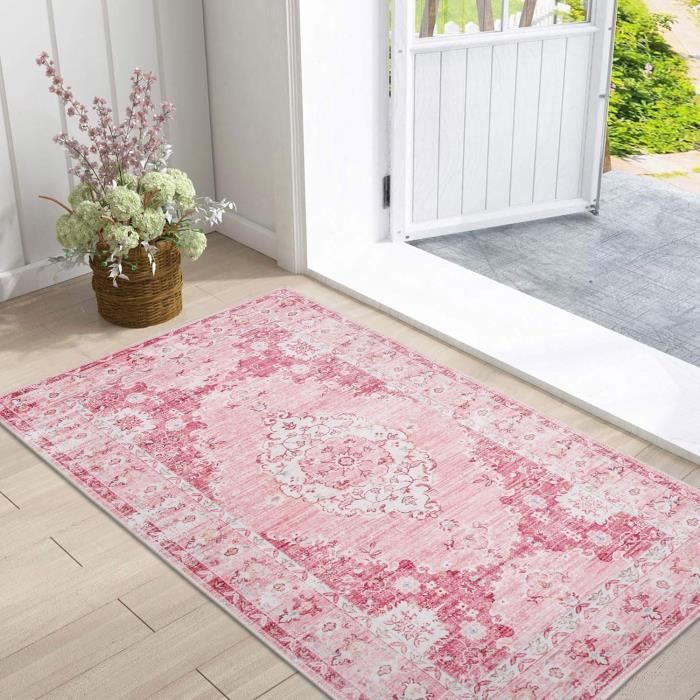 TALETA Tapis De Salon, Tapis Lavable Antidérapant, Tapis Colorés Avec