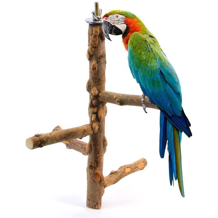 JOUET À MÂCHER Oiseau Bloc En Bois Coloré Perroquet Cage Piqûre Jouets Pou  Sgs EUR 49,12 - PicClick FR