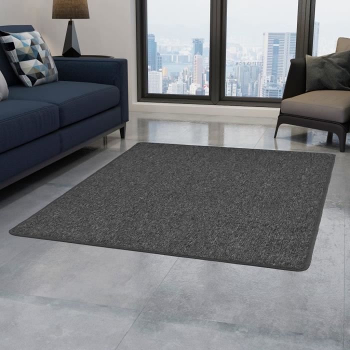 Tapis Gris 160x230
