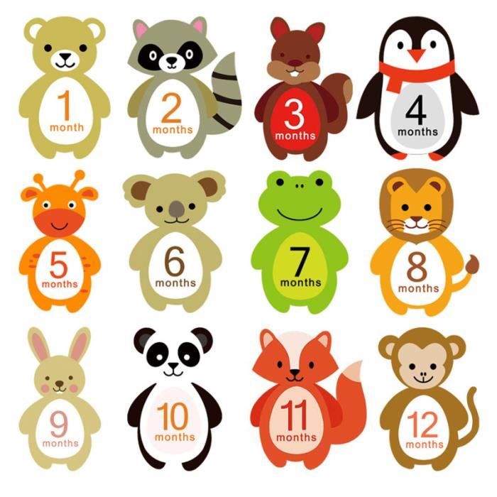 12 Feuilles D Autocollants Mensuels Pour Bebe Beaux Decalcomanies Photo D Animaux Mignons Jeu De Coloriage Dessin Pochoir Cdiscount Jeux Jouets