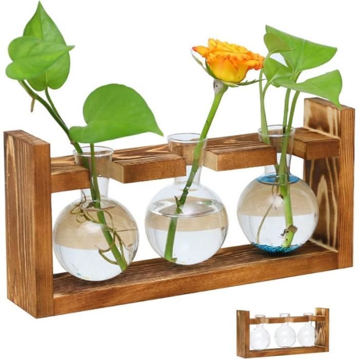 Meilleurs prix pour Pots de Fleurs - ZGEER - Terrarium en Verre - Support en Bois - Décoration Intérieure - Hydroponique