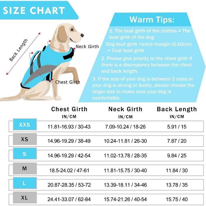 Gilet de sale sauvetage bouledogue français