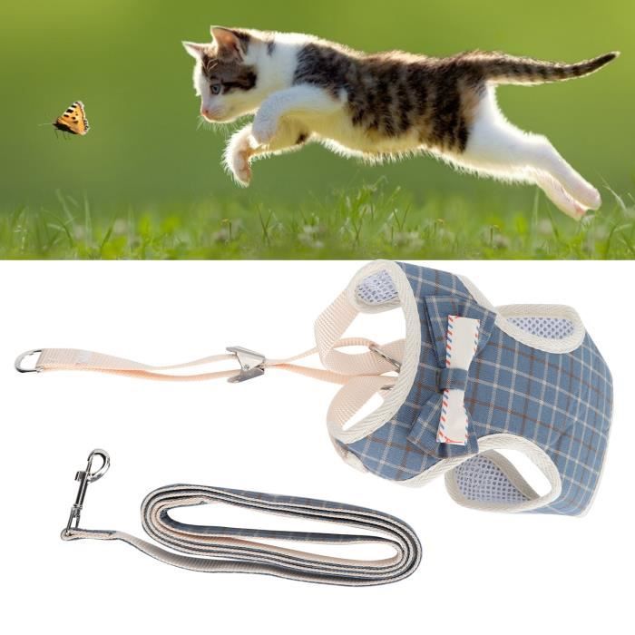 Harnais Réglable Pour Chat - Taille XS à L - Anti-évasion, Confortable - Pour Randonnée, Voyage, Balade - Avec Laisse - Réfléchissant - 7
