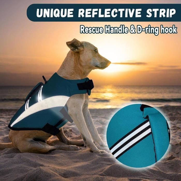 Gilet de sales sauvetage bouledogue français