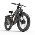 Vélo électrique Lankeleisi MG800 MAX Gris 2000W moteurs 20AH batterie 26" pouces gros pneu Fat Bike VTT-0