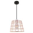Lustre Suspension Lumières Placage Cage Doiseau Métal Loft En Fer Forgé Simple Tête De Lustre Suspension Lampe Industrielle