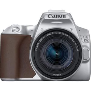 APPAREIL PHOTO RÉFLEX Canon EOS 250D + EF-S 18-55mm Gris Appareil Photo 