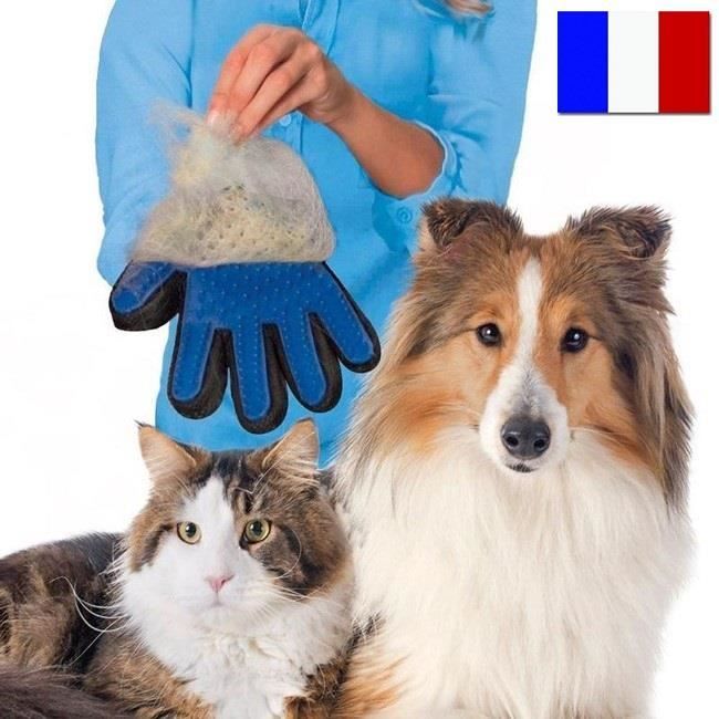 SIMPLISIM: Gant Brosse Toilettage Chien Chat Animaux Elimine Poils Massage Hygiène Brossage