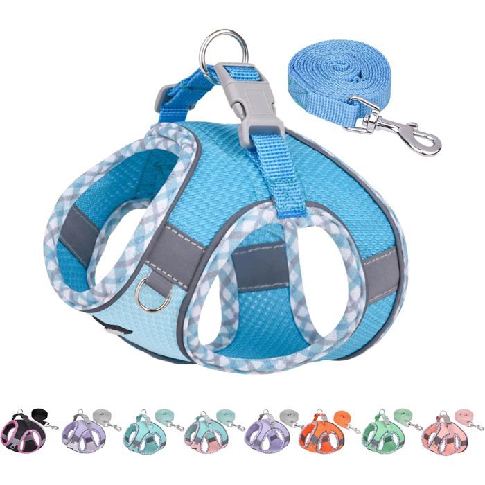 Harnais réfléchissant bleu - PetSafe Pro - Taille XXS - Respirant - Anti-fugue - Pour petits chiens et chats