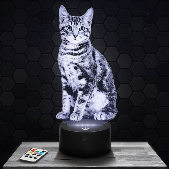 Lampe 3d _ Chat - Jouet Figurine Cadeau Chat - Veilleuse Led Tactile avec socle au choix et télécommande TOP