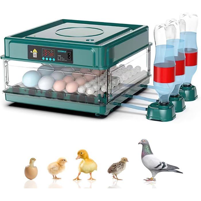 Meilleurs prix pour Couveuse A Oeuf Automatique 36 Oeufs – Incubateur Volaille Électrique – Retournement Automatique – Contrôle Température Et Humidité