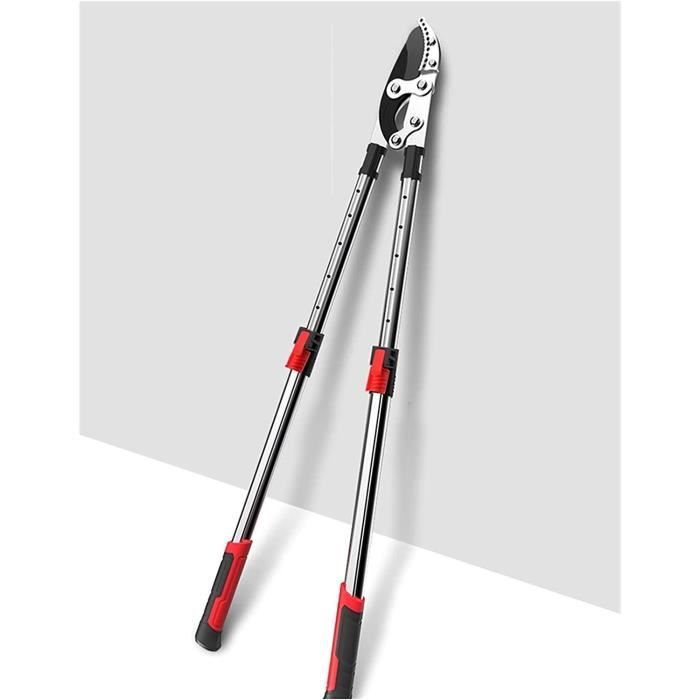 Coupe-Branche Télescopique AIRAJ 42-61 Cm | Lame SK5 Anti-Adhésive, Coupe Jusqu'à 3.5 Cm | Pour Jardin, Arboriculture - 11