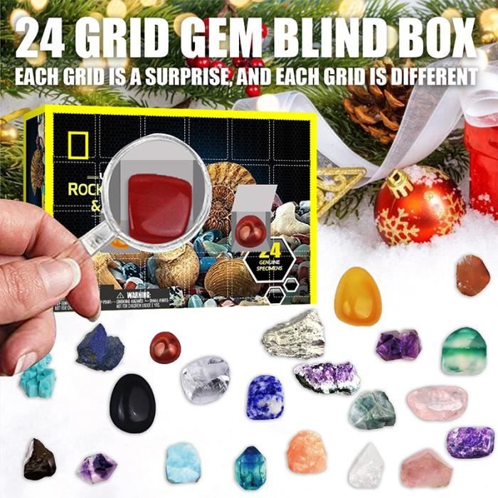 Calendrier de l'Avent 2021 Coffret cadeau Geographic Rock Minerals Fossil Surprise Calendrier de l'Avent de Noël Blind Box Calendrier de compte à rebours de 24 jours Cadeaux pour les enfants 