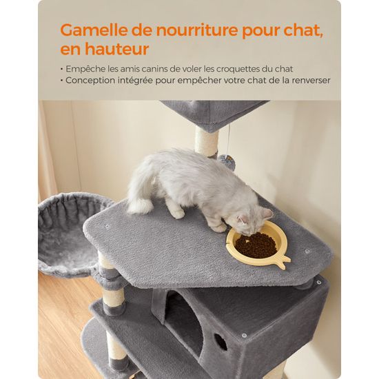 Feandrea Arbre A Chat Hauteur De 164 Cm Maison Panier Hamac Jouets Bol Perchoirs Plates Formes Colonne En Sisal Achat Vente Arbre A Chat Songmics Arbre A Chat Cdiscount