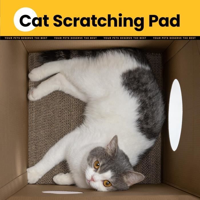 Twistou Griffoir Chat - Jouet Interactif Pliable Avec Cloche - Carton Recyclé - Forme Transformable - Pour Chats Actifs