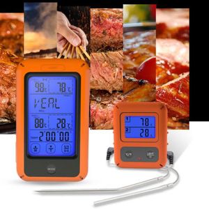 Thermom/ètre /à viande