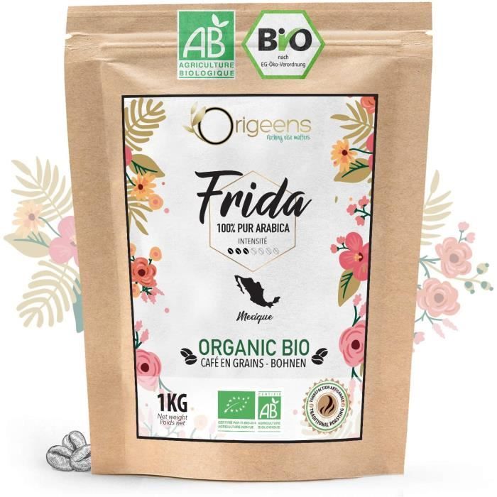 ORIGEENS CAFE GRAIN BIO 1kg - Café en Grain Arabica - Frida - Single Origin Mexique - Torréfaction Artisanale