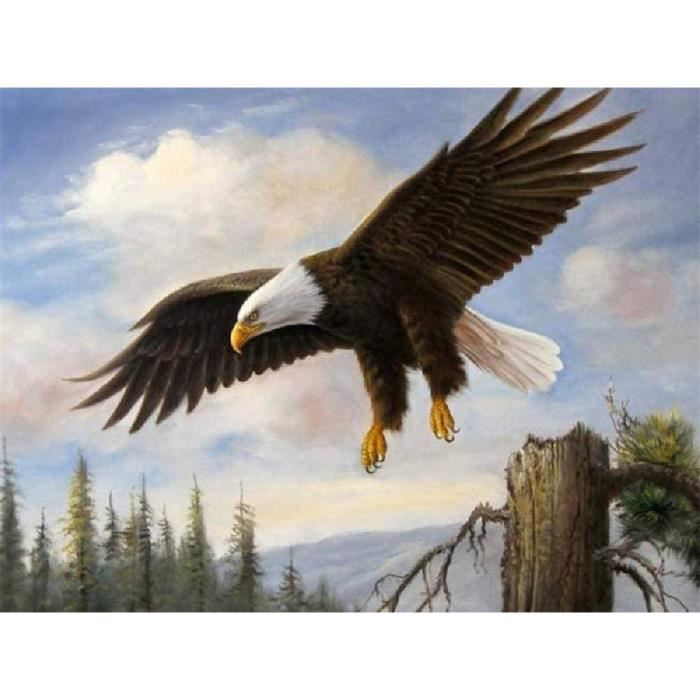 Puzzle En Bois 3D Funnli 300 Pièces - Vision Intérieure Grotte - Format L 34x34cm Avec Coffret Cadeau