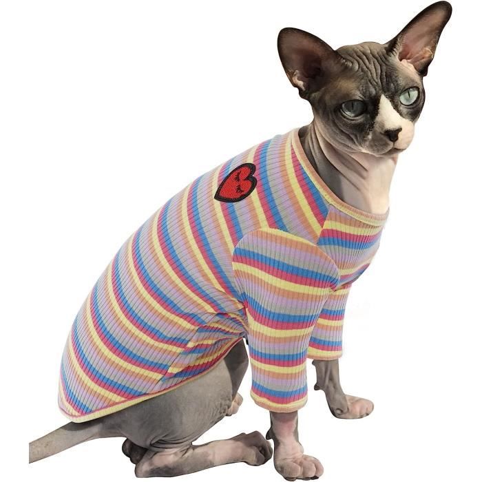 Vetement chat sphynx 2025