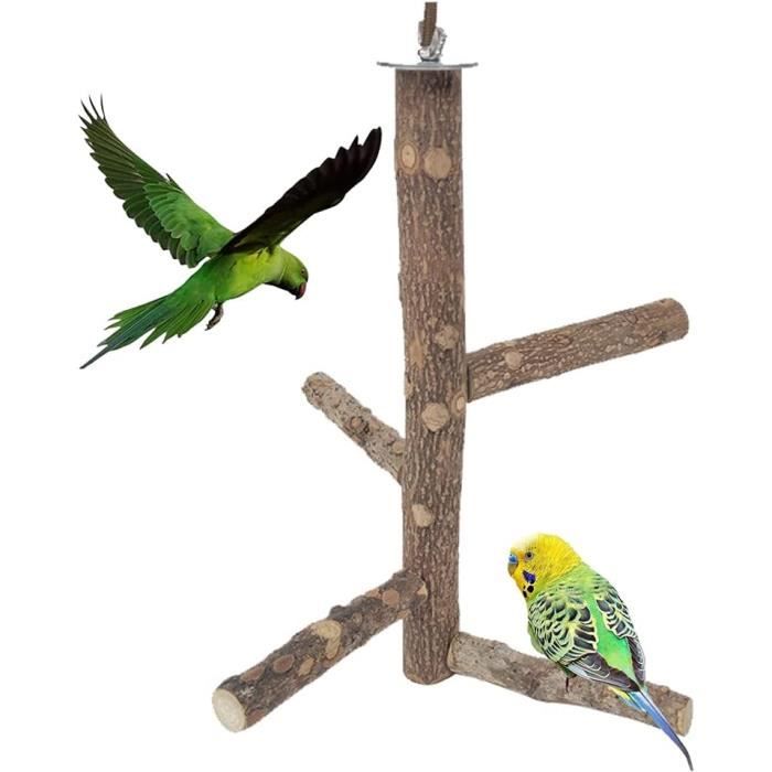 Perchoirs Pour Cages À Oiseaux - Rkllejs Support Perroquet Bois