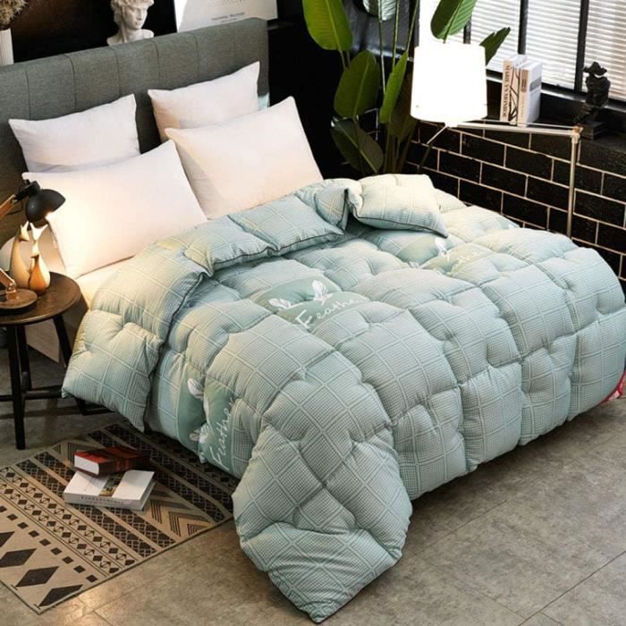SHAIRMB Couette éPaisse, Couverture éPaisse en Cachemire d'agneau, Courtepointes Moelleuses en Cachemire, Couverture Chaude d'hiver, Couette Douce Et Chaude d'hiver, éPais Chaud,D,220×240cm(5kg