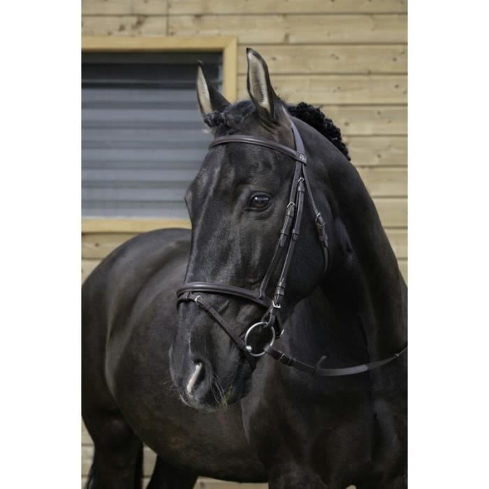 Bride Norton double têtière - - Equipement pour le cheval et le cavalier