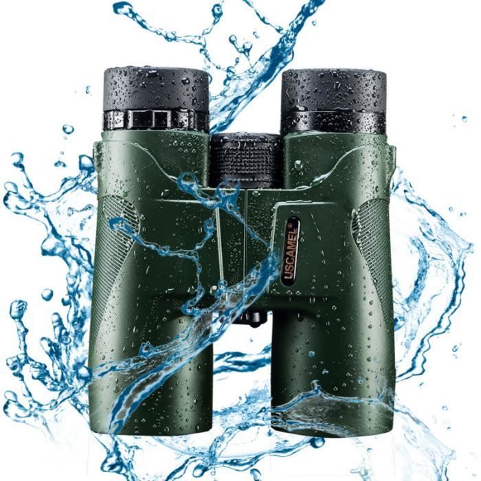D/étails et Lumi/ère Plus Nets Jumelles 10x42 /étanche et Anti Poussi/ère Prismes de Porro Lentilles Asph/ériques d/’Observation HD pour Les Professionnels du Voyage