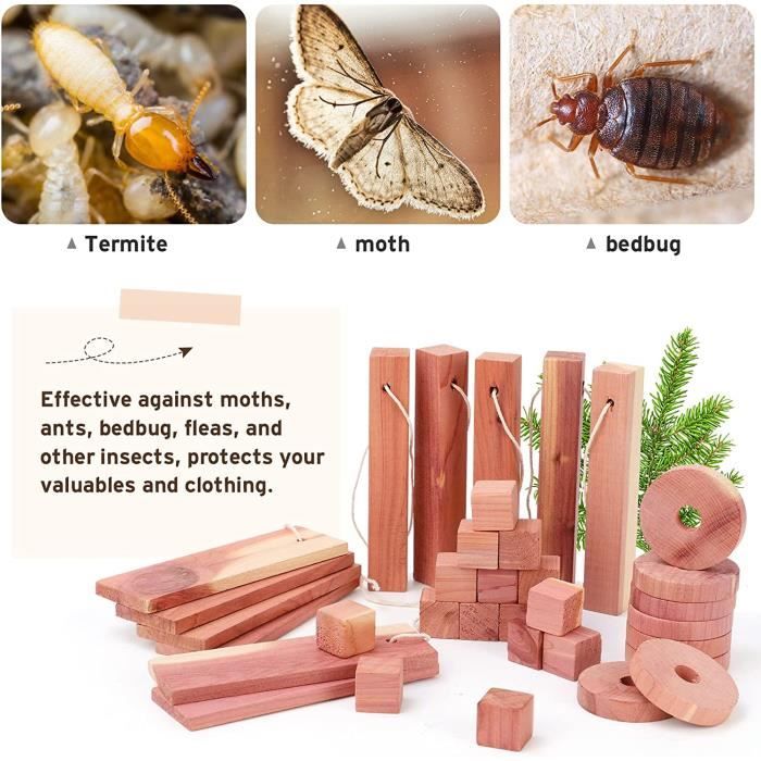 15 Blocs De Cèdre Anti-Mites Naturels - Protection Textile Écologique Pour Armoires Et Penderies