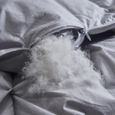 Brun Couette en duvet torsadé en coton couette en duvet d'oie, couette d'hiver de luxe -160X210CM-3KG-3