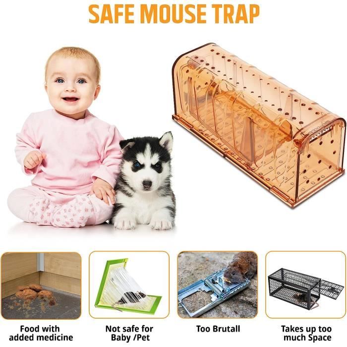 Werkfox® Piège vivant pour souris; Tiefreundliche Attrape-souris vivant ;  Méthode humaine de capture de souris ; Réutilisable & sûr (1 Pièce) :  : Jardin