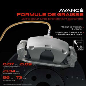 Frankberg Lot De 2 Amortisseurs Essieu Arrière Pour Citroën C4 Grand Picasso I & Picasso I 2006-2013