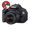 CANON EOS 600D Reflex + 18-55mm IS-4