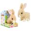 peluche pour lapin