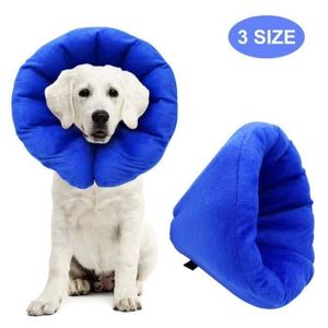 التشبث ذابل Sobriquette Collier Lune Chien Maxi Zoo Dsvdedommel Com التشبث ذابل Sobriquette Collier Lune Chien Maxi Zoo Dsvdedommel Com