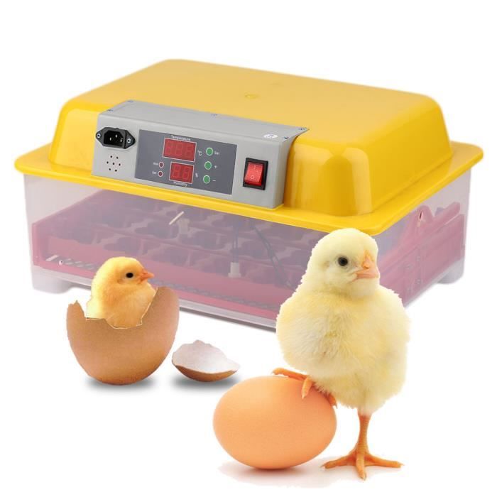 Kit couveuse automatique 24 œufs - 39 * 24 * 12.5 cm - jaune clair