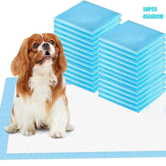 Meilleurs prix pour MTEVOTX Alaise pour Chien, Alese Jetable, 45x60, Tapis pour Chiot, Apprentissage de la Propreté, Anti-Fuite et Résistante 50 Pièces